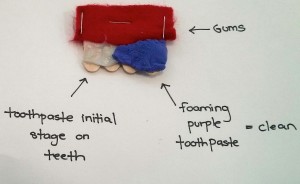 Maryam Attai_Oral Hygiene Prototype